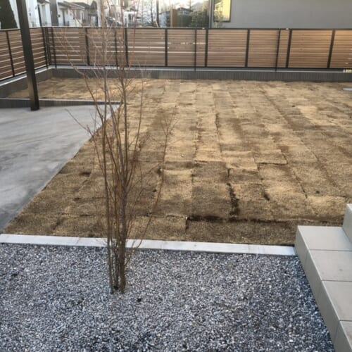 お庭の植栽作業のモミジの植え込みと芝張り作業完了となります。