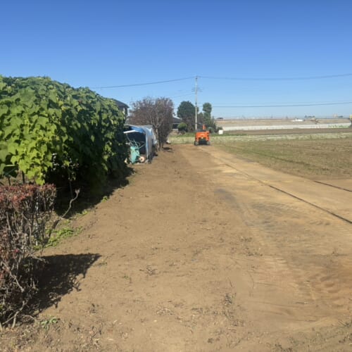 境界側の生垣の伐採抜根作業となります。