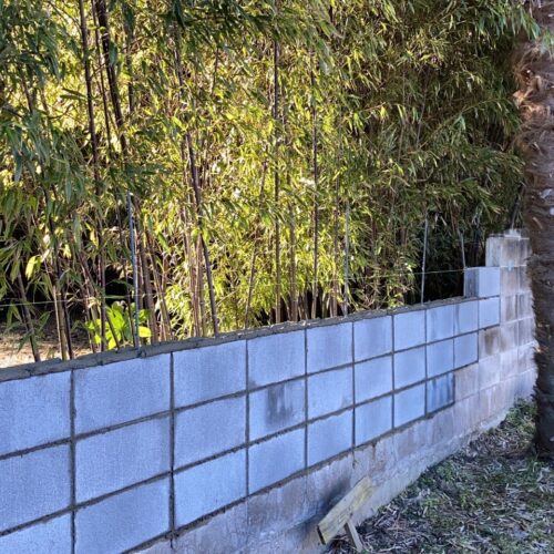 北側ブロック積みです。