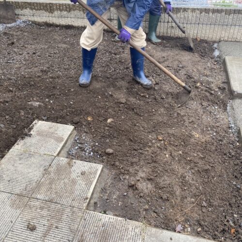 既存採石撤去作業です。