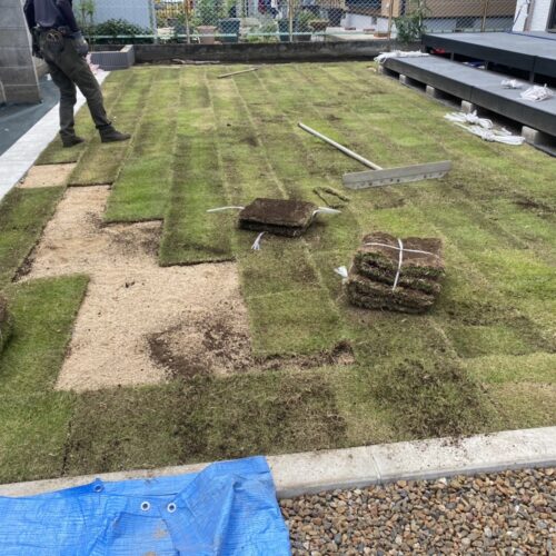 植栽作業となります。芝張り作業の方も本日で完了となります。