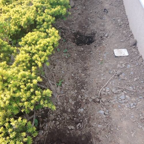 フェンス基礎の掘削です。