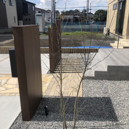 植栽のアオダモの植え込み作業完了です。