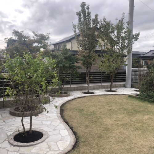 植栽の移植作業完了です。