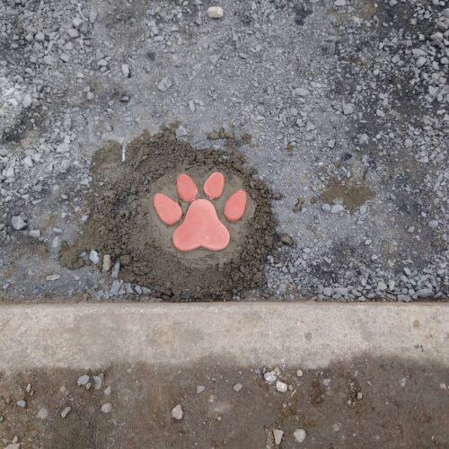 肉球石設置です。