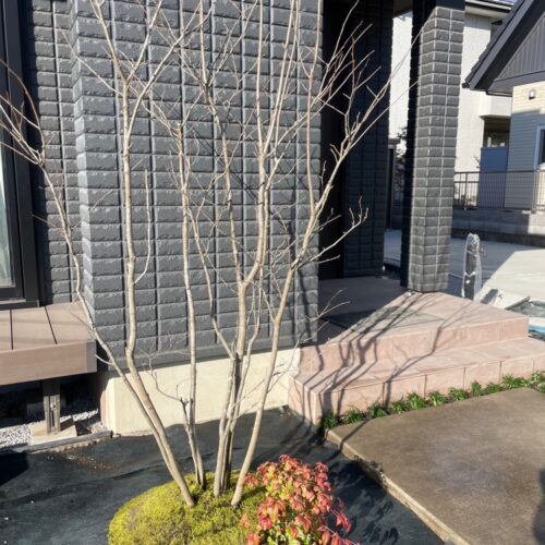 植え込み作業が終わり植栽作業完了となります。