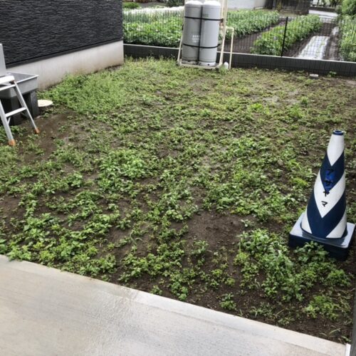 本日は朝からの雨となってしまいました。工事作業はお休みとなります。