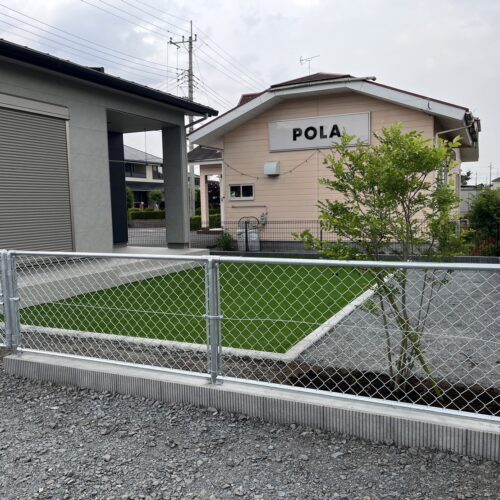 シマトネリコ植栽です。