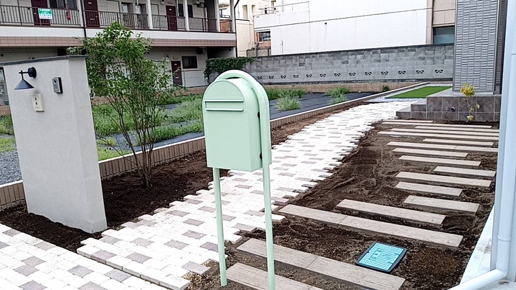 ハイノキ木の植え込み植栽作業となります。