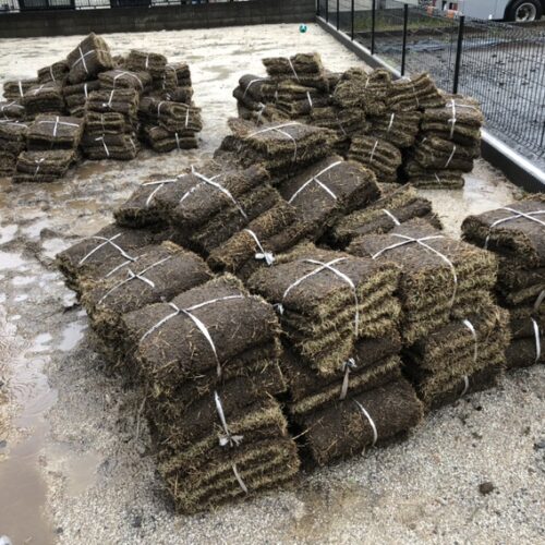 芝張り作業となります。雨の状況を待っての芝張り材料の搬入となります。