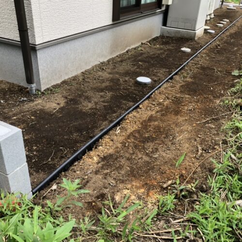 西側のエッジキングの見切りとなります。