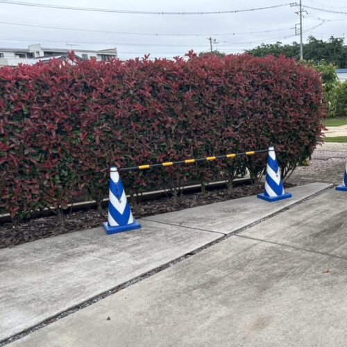 本日も雨のお天気となってしまいました。お天気の回復を待って明日から伐採作業より工事開始です。