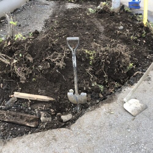 道路側の掘削及び抜根と既存大谷石の撤去作業となります。