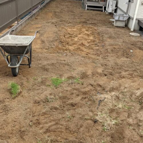 既存天然芝剥がしです。