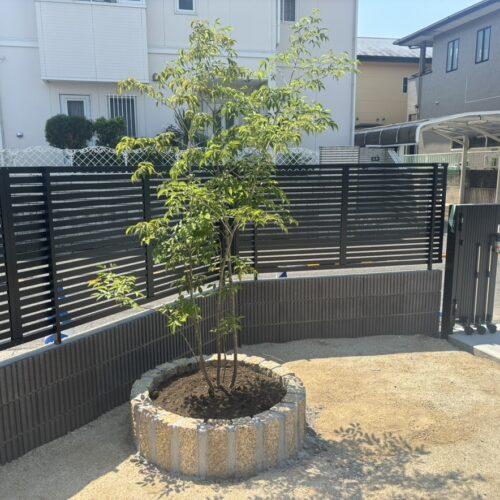 植栽作業のアオハダの植え込み作業となります。