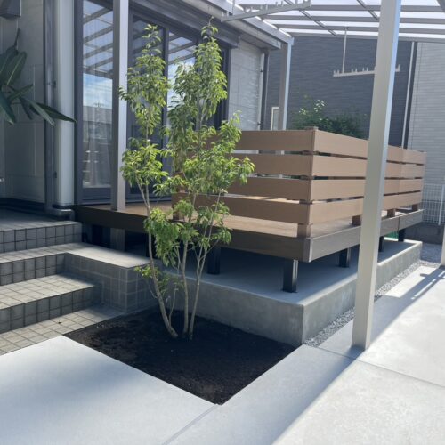 ソヨゴの植栽です