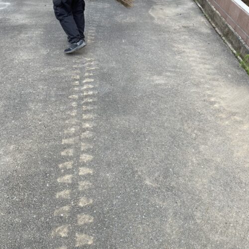 道路の清掃です