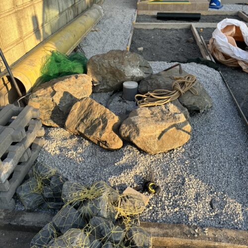 もみじの植栽の廻りに石を配置して植え込み部分を掘削へと進みます。