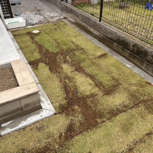 本日はお庭への芝張り作業となります。目土を入れまして作業完了となります。