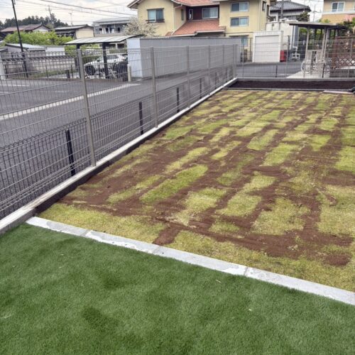 本日は植栽の植え込み及び芝張り作業となります。 本日は植栽の植え込み及び芝張り作業となります。