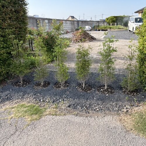 植栽の植え込み作業完了となります。